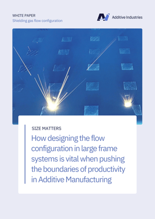 Gas Flow Case Study