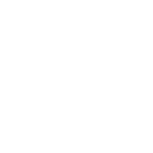 vw-2